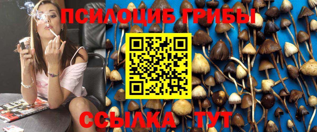 Галлюциногенные грибы Cubensis Сергиев Посад